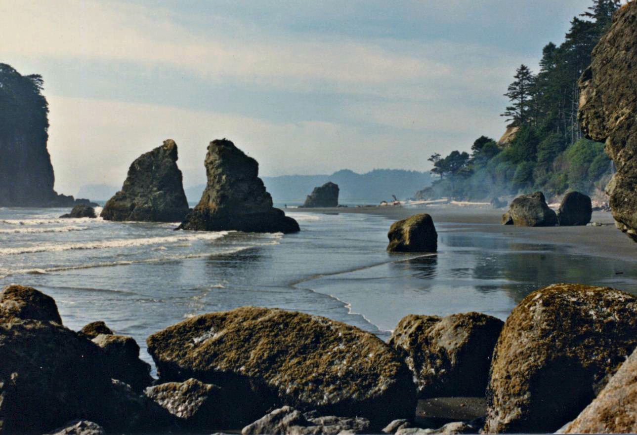 Located on the coast of the. Olympic National Park.